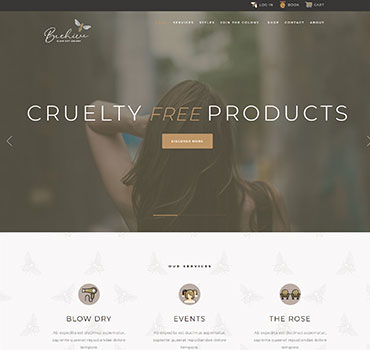 Web Design Houston Texas